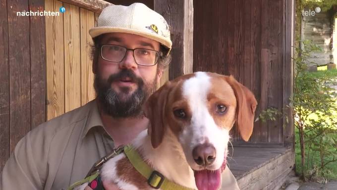 Mit «Save The Dogs» sollen es Strassenhunde besser haben