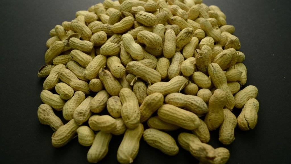 Allergiker haben ein schweres Leben, denn Erdnüsse sind in vielen Lebensmitteln enthalten.