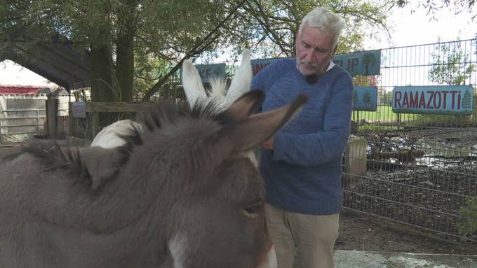 Verhandlungen gescheitert: Kleinzirkus Rodolfo droht das Ende