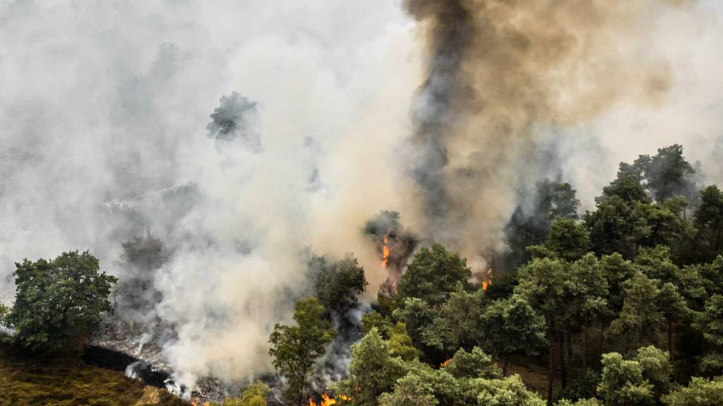 dpatopbilder - Im Naturschutzgebiet De Rosmolen wütet ein Großbrand, wie die Sicherheitsregion Limburg-Nord mitteilte. Aufgrund der anhaltenden Trockenheit konnte sich das Feuer rasant ausbreiten. Foto: Rob Engelaar/ANP/dpa