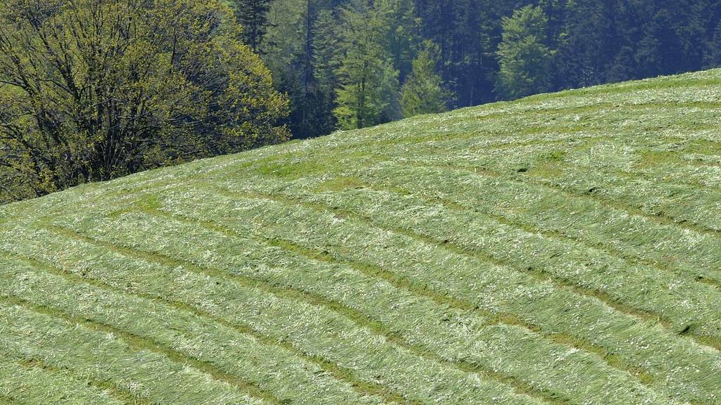 35-jähriger Bauer kommt bei Unfall mit Anhänger-Fahrzeug ums Leben