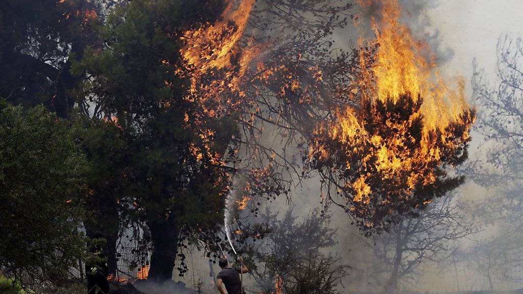 Waldbrand bei Kapandriti nördlich von Athen: Wegen des unsteten Windes ist die Ausbreitungsrichtung der Waldbrände ungewiss. Zwei Dörfer sollen deshalb evakuiert werden.
