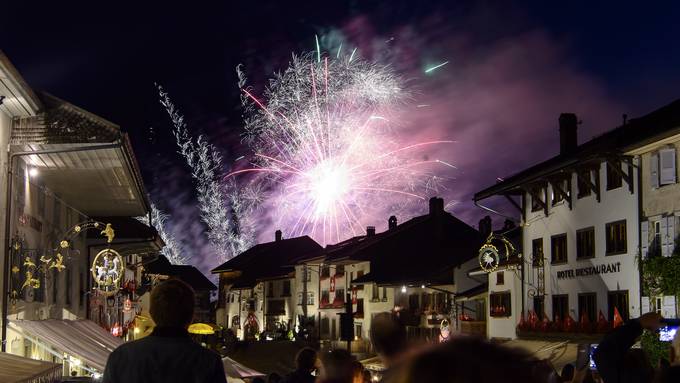 Verein lanciert Volksinitiative gegen Feuerwerk