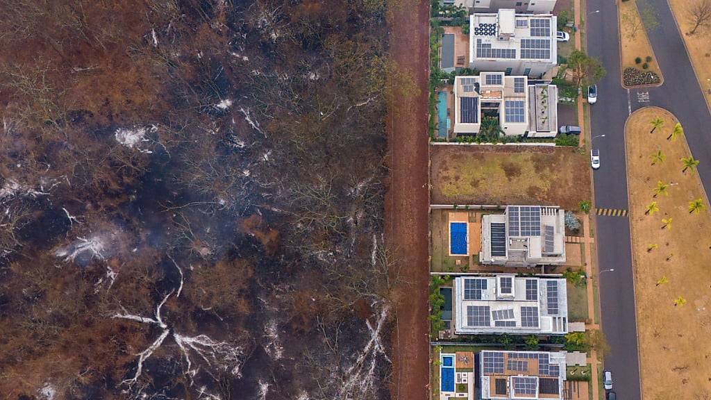 Schwere Brände im Südosten Brasiliens - Tausende Helfer im Einsatz