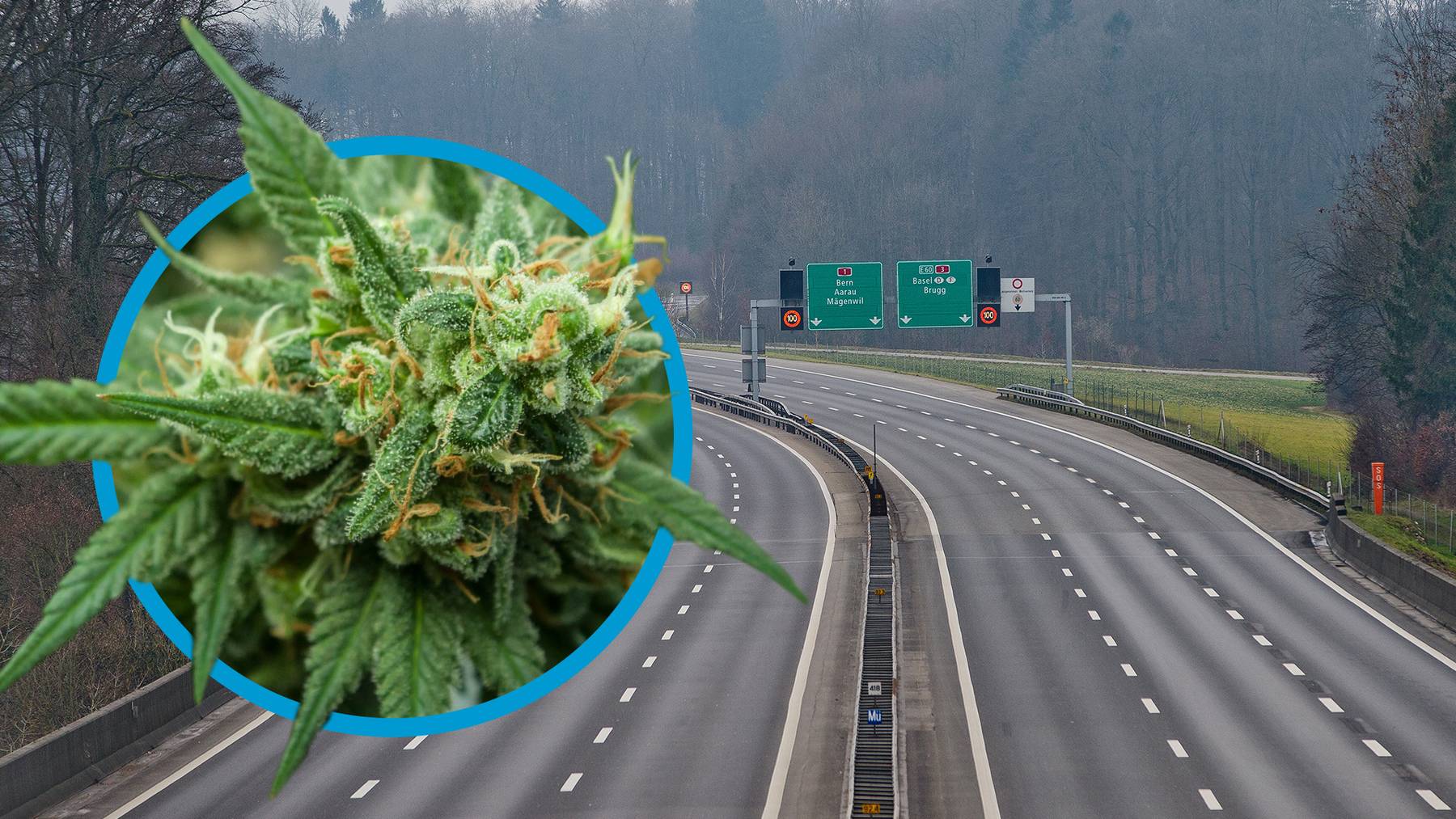 Cannabis Geruch Autobahn A1 Baden