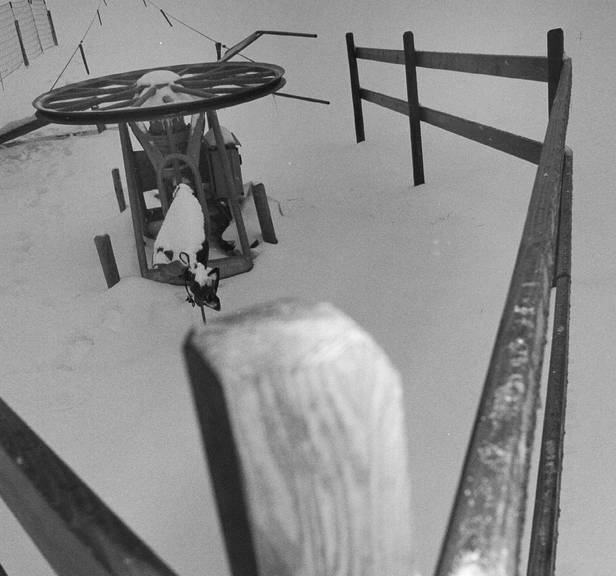 Der Skilift in Heiden sucht dringend Unterstützer für eine neue Steuerung. (Archiv)