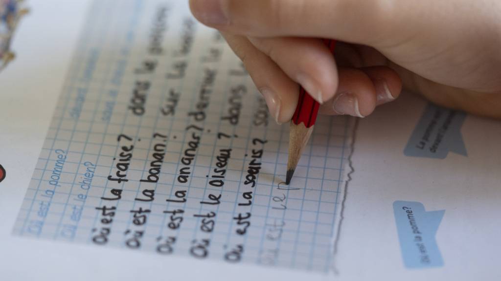 Der Schaffhauser Kantonsrat stellt das Frühfranzösisch infrage. Der Regierungsrat soll prüfen, ob der Französischunterricht künftig erst in der Oberstufe beginnen soll. (Symbolbild)