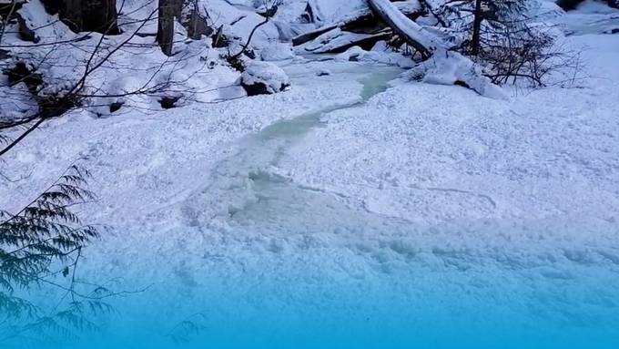 Seltenes Naturschauspiel: Frazil Eis lässt Bach verschwinden