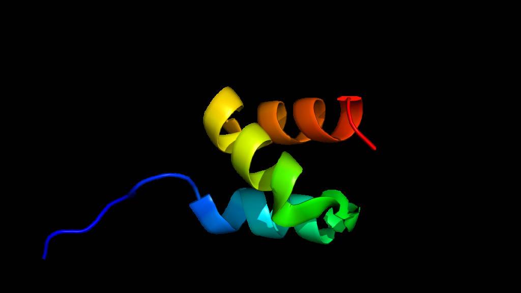 Enzym markiert unerwünschte Proteine mit einem «Todeskuss»