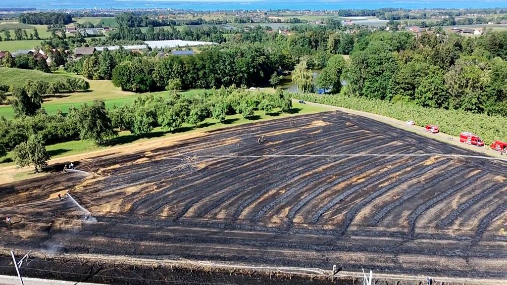 Ein Hektar Stoppelfeld brennt nieder – Brandursache unbekannt