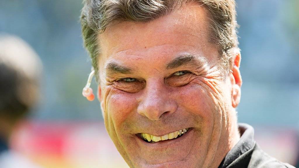 Neuer Trainer des HSV: Dieter Hecking