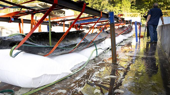 Spektakulärer Fund: 2500 Jahre altes Holzboot aus Neuenburgersee geborgen