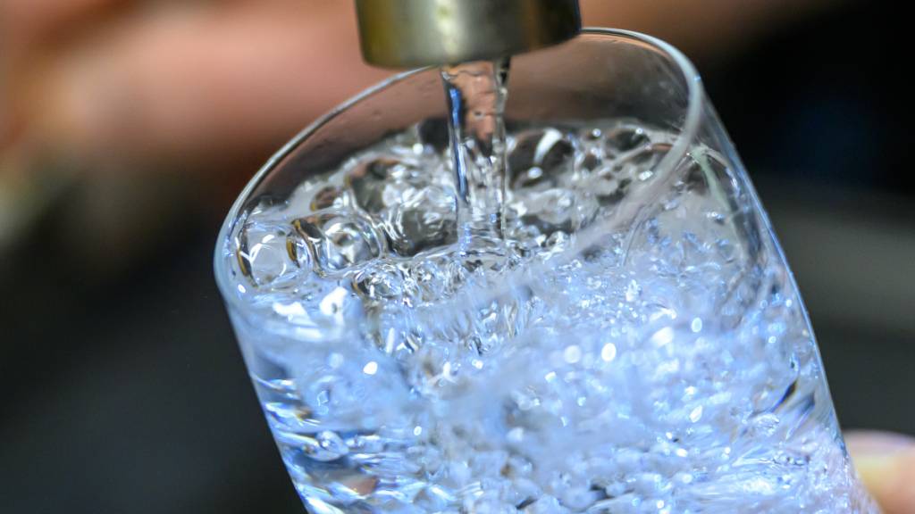 Das Trinkwasser in Stettfurt TG ist mit Kolibakterien verunreinigt. (Symbolbild)