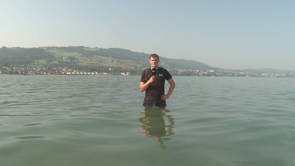 Rekordverdächtig tief: Im Bodensee kann man dort spazieren, wo sonst Schiffe ankern