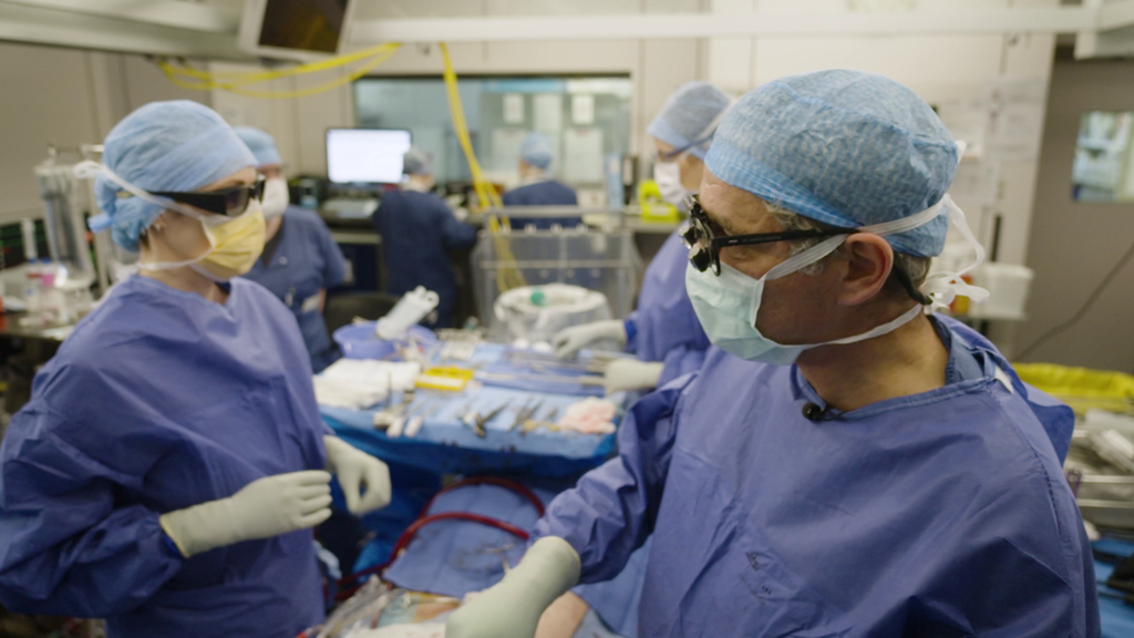 Minimalinvasive Herzklappenrekonstruktion