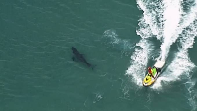 Es war wohl ein Hai-Angriff: 16-Jährige bei Jet-Ski-Tour tödlich verletzt