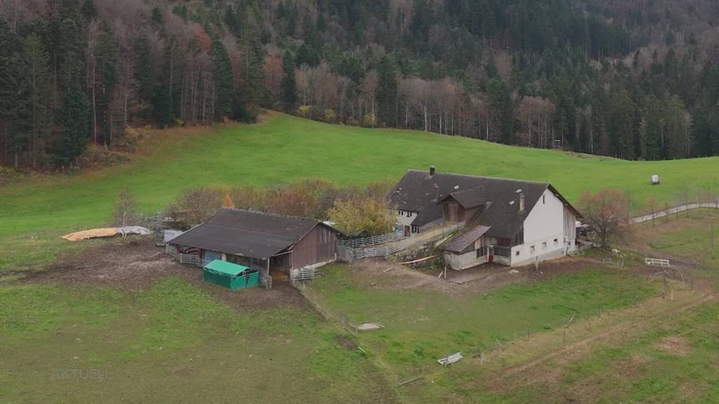 Tierdrama in Ramiswil: Wie konnte es so weit kommen?