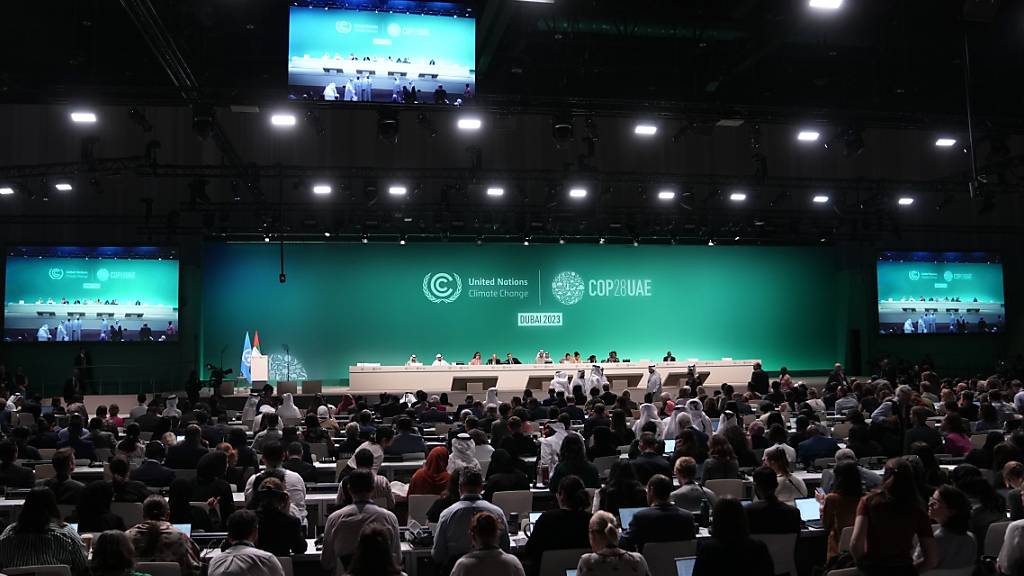 Plenarsitzung des UN-Klimagipfels COP28 in Dubai. Foto: Kamran Jebreili/AP/dpa