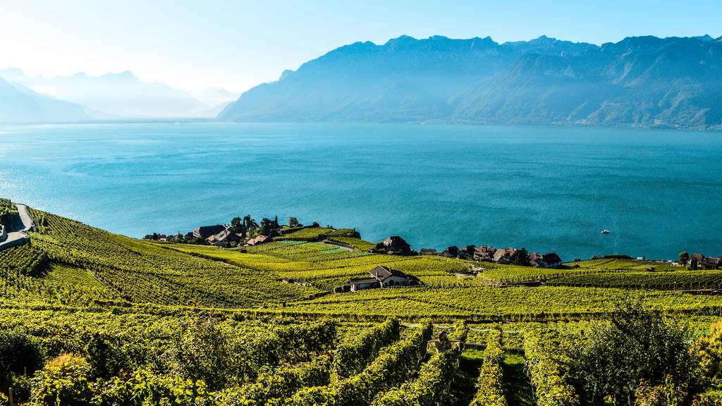 Geniesse herrliche Aussichten auf die Reben, die Berge und den Genfersee.