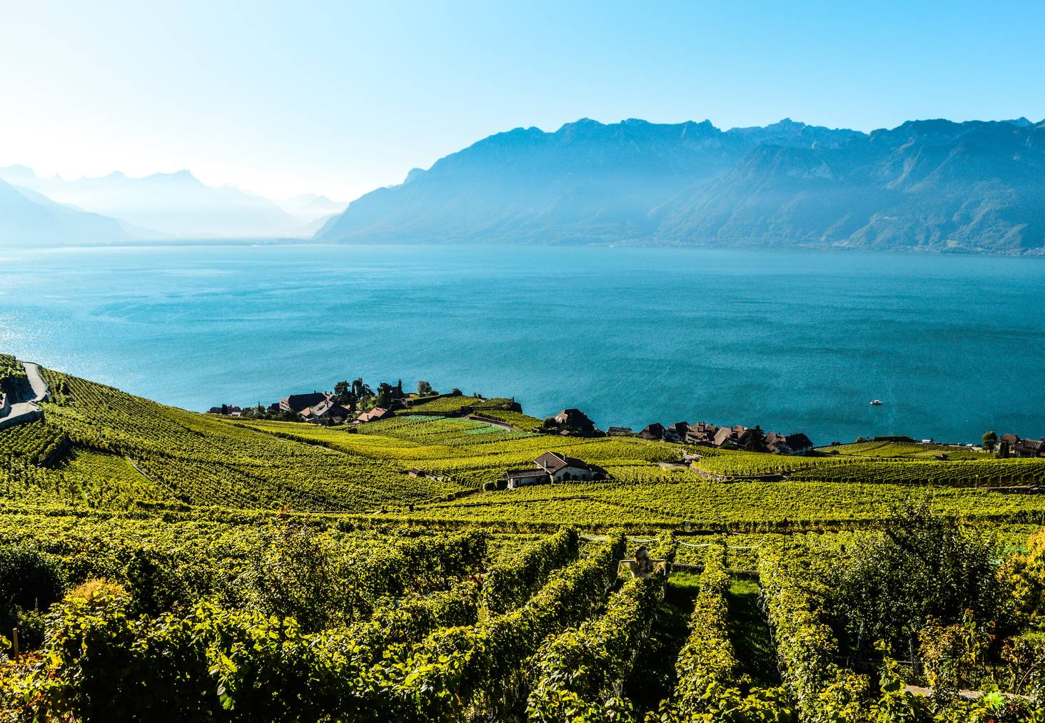 Geniesse herrliche Aussichten auf die Reben, die Berge und den Genfersee.