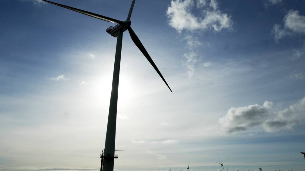 Für die dänische Windturbinenproduzentin Vestas transportierte Kühne+Nagel Turbinenblätter auf der Wolga. (Symbolbild)