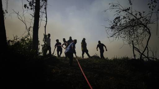 Waldbrand im Osten der türkischen Hauptstadt Ankara ausgebrochen