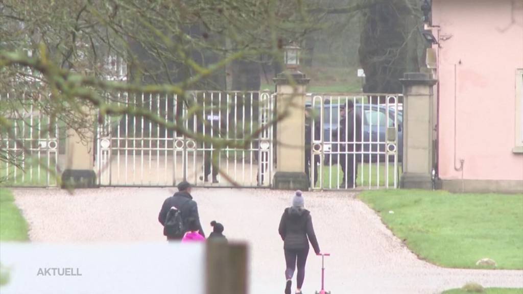 Ex-Prinz Andrew verhaftet: Gab er Epstein sensible Dokumente?