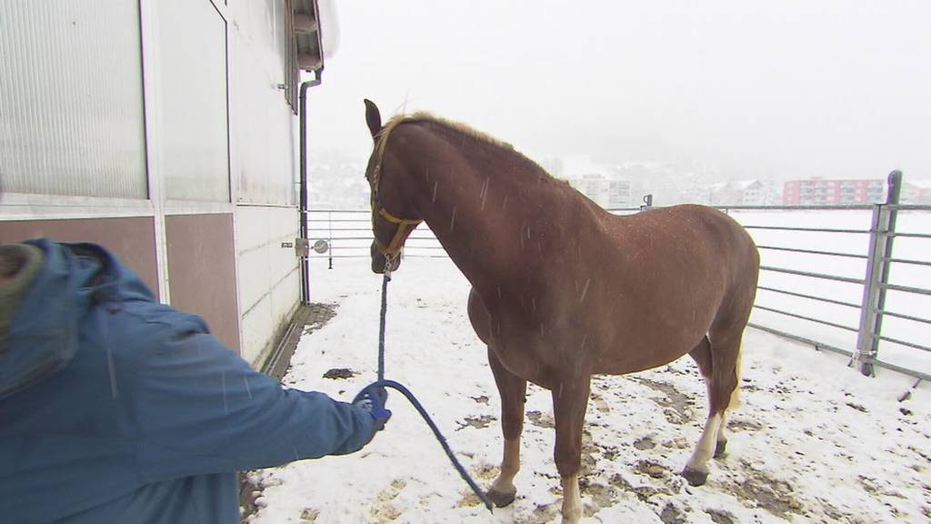 Teaser «unterwegs» in Engelberg