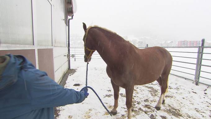 Teaser «unterwegs» in Engelberg