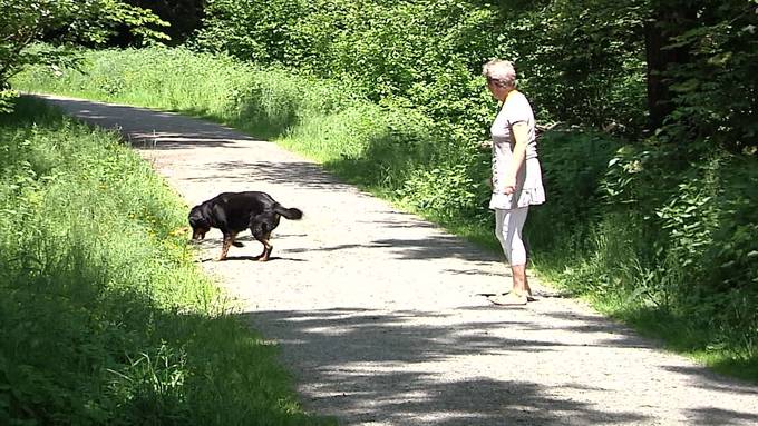 Kurznachrichten: Giftköder, Tag des Lichts, Strassensperrung