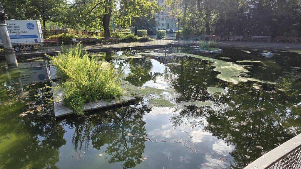 Der Weiher bei der Voliere in der Stadt St. Gallen bleibt trocken
