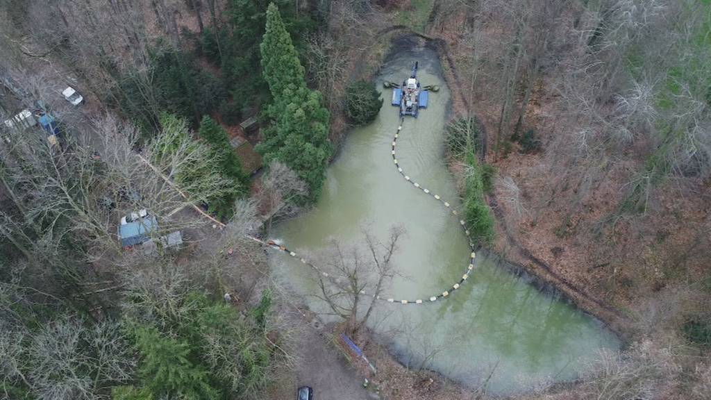 Schwimmsaugbagger befreit Weiher von Schlamm