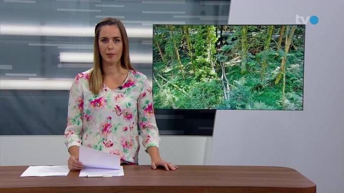 Kurznachrichten: Tödlicher Unfall, Schafe gerissen, FCSG