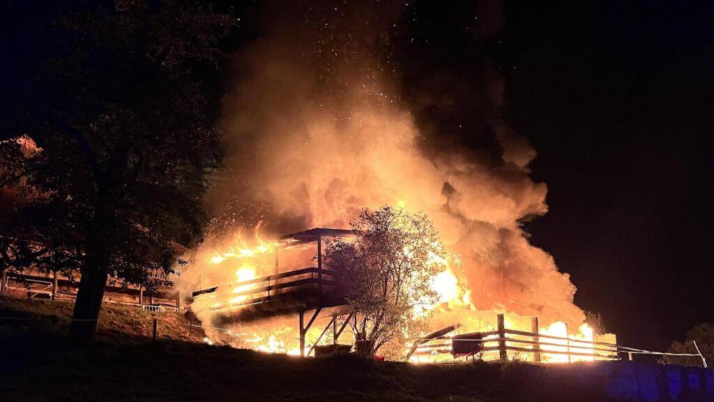 Beim Brand eines Stalls in Steg im Tösstal entstand am späten Sonntagabend grosser Sachschaden.