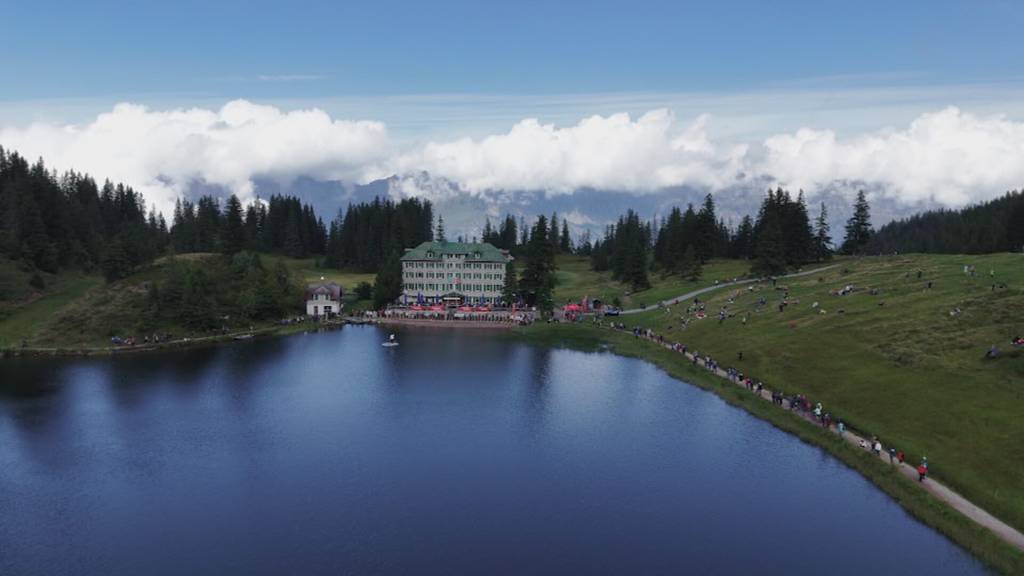 TVO-Jahresrückblick 2025: Die emotionalsten Momente