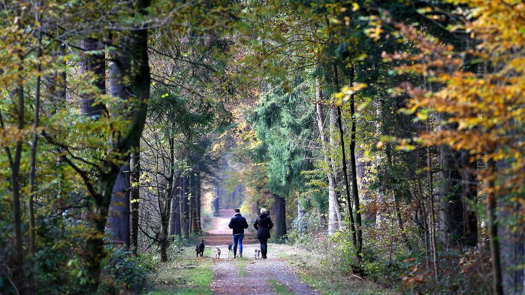 Nach Burglind - Gefahr noch nicht gebannt