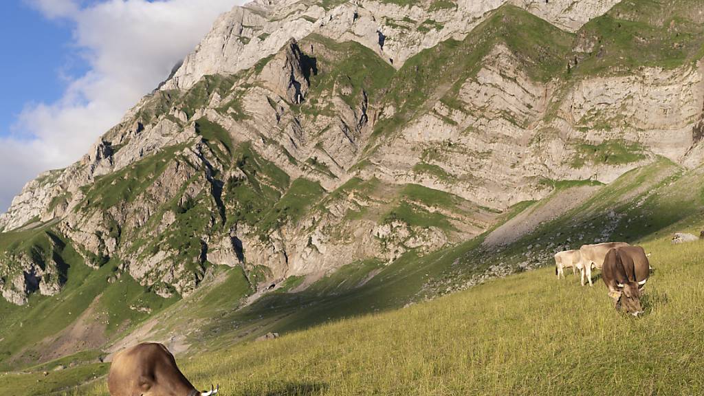 Ein 81-jähriger Berggänger verunglückte auf dem Weg von der Schwägalp zur Tierwies im Säntismassiv tödlich. (Archivbild)