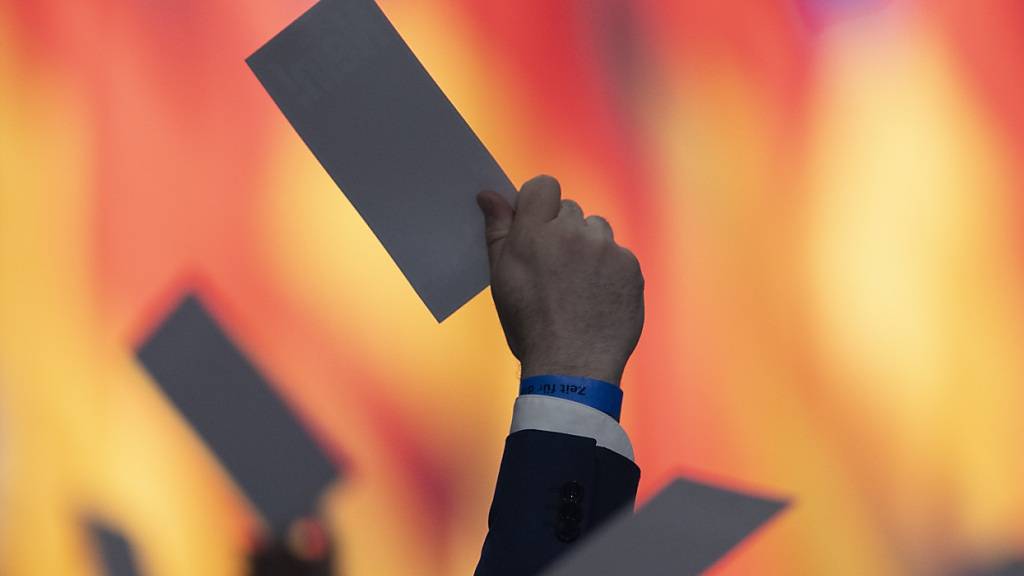 Abstimmung auf dem Bundesparteitag der AfD in Riesa. Foto: Sebastian Kahnert/dpa