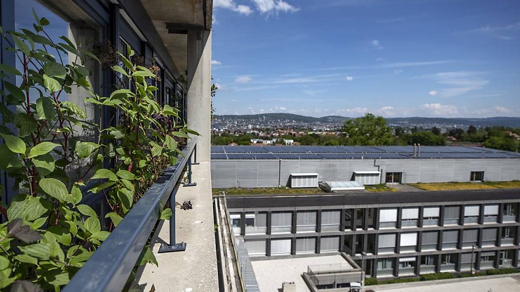 Das Stadtspital Zürich machte im letzten Jahr einen Verlust von 28 Millionen Franken. Dabei gab es viele Rekorde zu verzeichnen, etwa bei den Geburten im Triemli. (Archivbild)