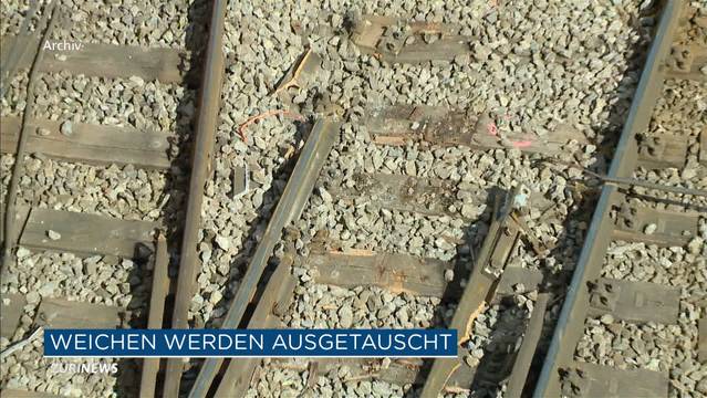 Weichentyp verantwortlich für vermehrte Zugunfälle