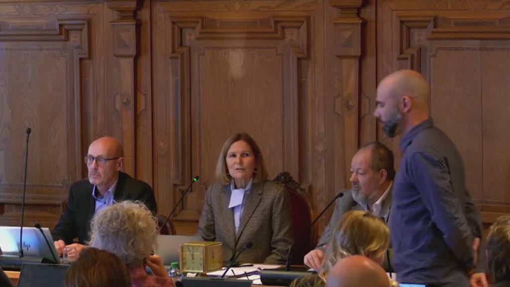 Hirschpark Luzern erhält nun doch Unterstützung der Stadt