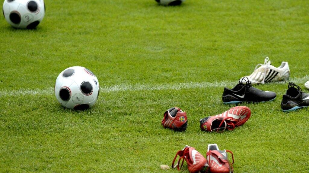 Stadt Luzern kann in Wartegg dank Modulbau Fussballfeld retten