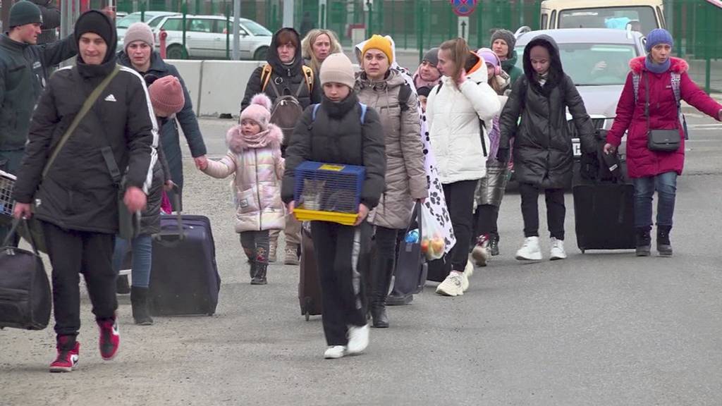 Caritas startet Jobvermittlung für geflüchtete Ukrainer