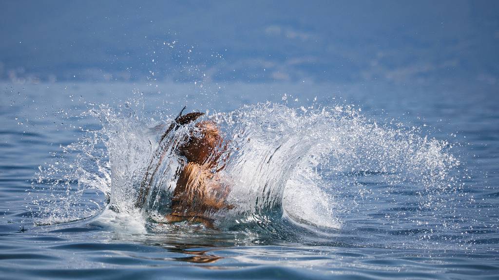 Sieben Badetote wegen Hitzewelle – so gehst du sicher ins Wasser