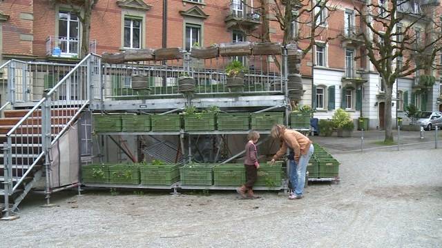 Langfinger verderben Urban Gardening