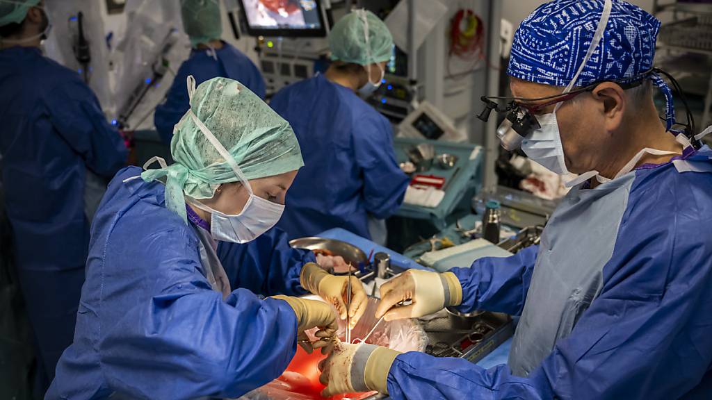 Organtransplantationen erreichten 2023 Rekordstand