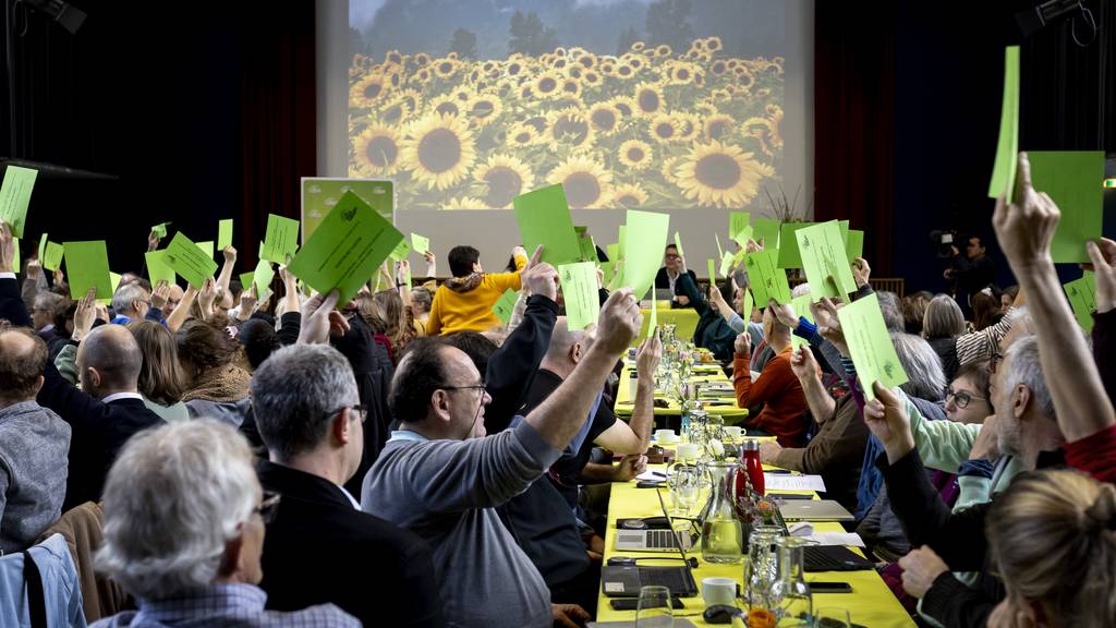 Die Delegiertenversammlung der Grünen am 27. Januar 2024.