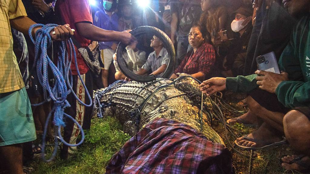 Internationale Tierexperten und die indonesischen Behörden waren jahrelang daran gescheitert, das Reptil zu fangen und ihm seine Last abzunehmen – bis jetzt.