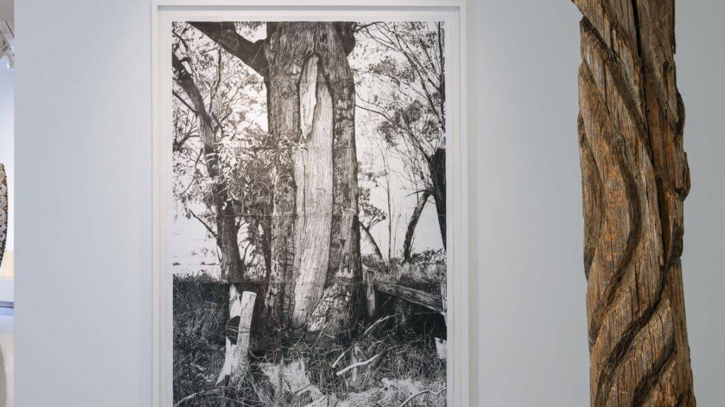 Museum der Kulturen Basel gibt Baumstamm nach Australien zurück