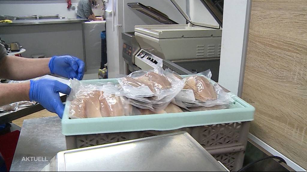 700 Kilogramm Fisch am Hallwilersee gestohlen